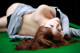 Megumi Yasu - Dream Eroticas De P9 No.88ef86